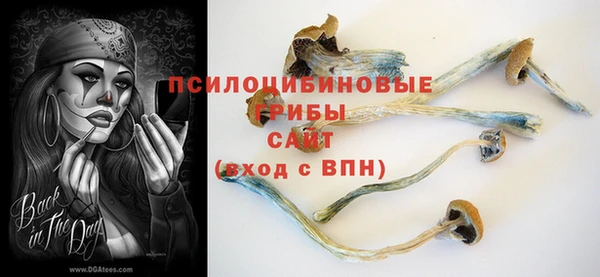 синтетический гашиш Новодвинск