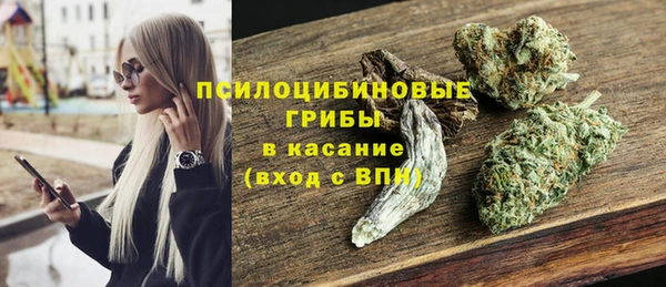 дмт Гусь-Хрустальный