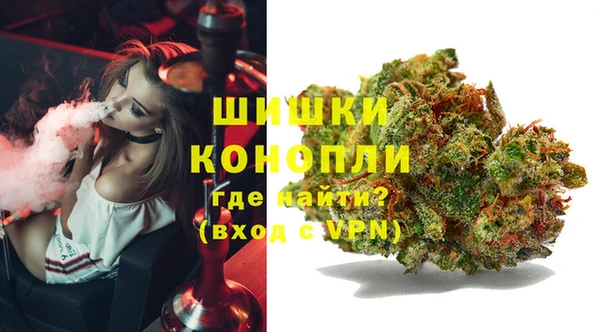 дмт Гусь-Хрустальный