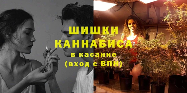 гидропоника Гусев