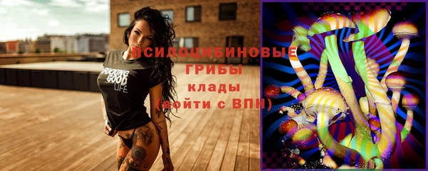 соль ск Гусиноозёрск