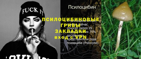 соль ск Гусиноозёрск