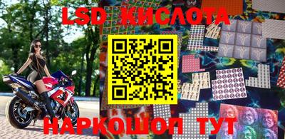 молекула духа Берёзовский