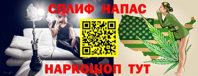 гидропоника Гусь-Хрустальный
