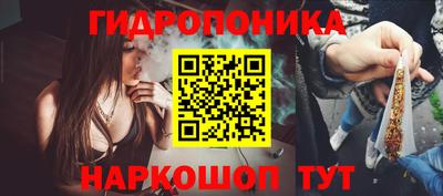 молекула духа Берёзовский