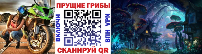 Галлюциногенные грибы Cubensis  мега онион  Кыштым  купить наркотик 