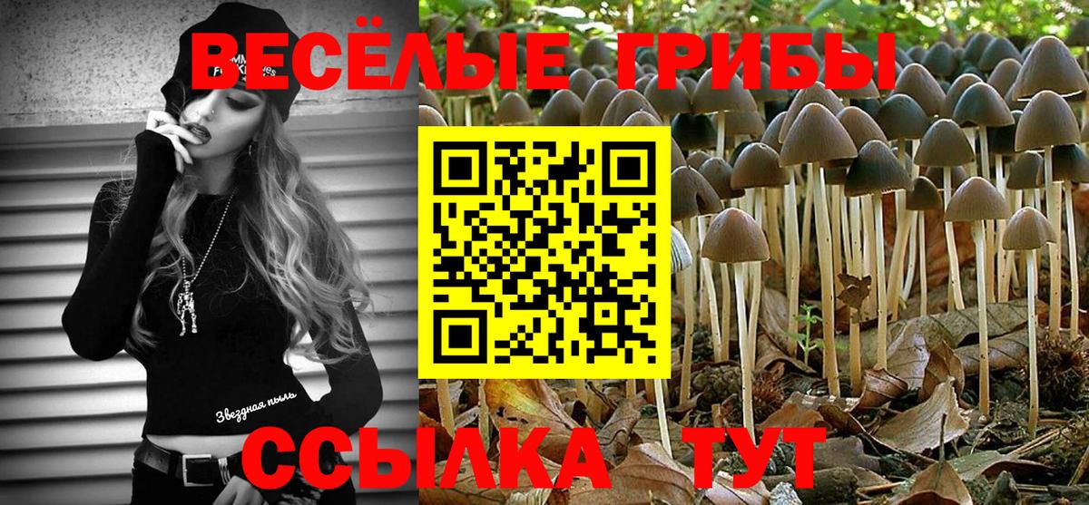 Псилоцибиновые грибы ЛСД Кыштым