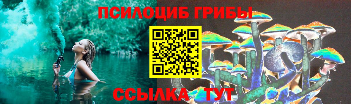 Псилоцибиновые грибы Psilocybe Кыштым