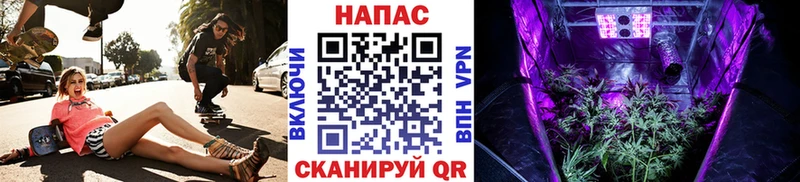 Бошки марихуана сатива  Кыштым 
